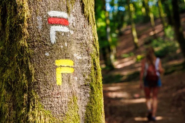 Túraútvonal Marker Egy Fán Erdőben Túrázó — Stock Fotó