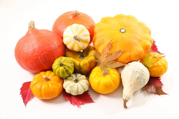 Sortido Diferentes Tipos Abóbora Conceito Comida Outono — Fotografia de Stock