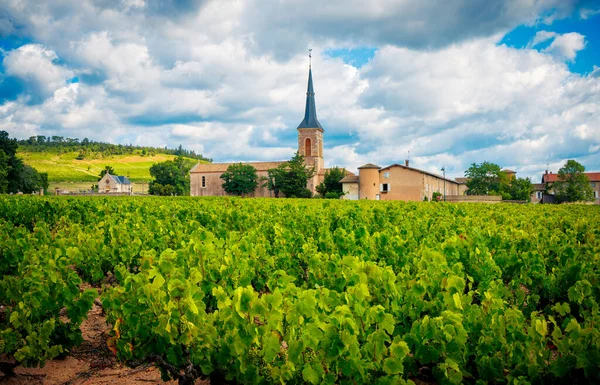 Vinagre Iglesia Borgoña Francia — Foto de Stock