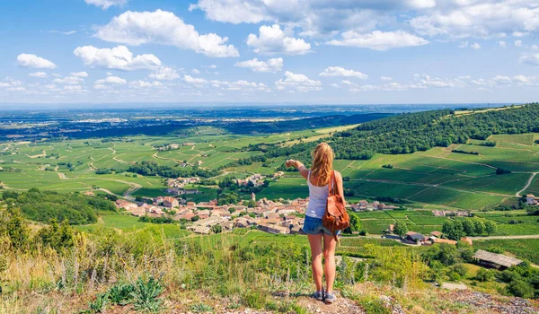 Podróżniczka Poiting Zielona Winnica Panoramiczny Widok Wieś Burgundia Francja — Zdjęcie stockowe