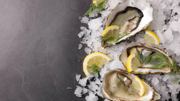 Fresh Oysters Ice Lemon — Stock Photo, Image