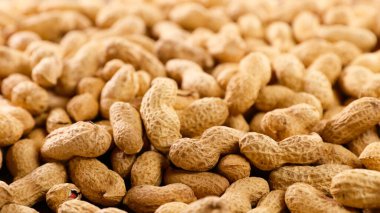 kabuk dokusu arka planında yer fıstığı