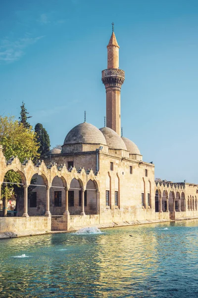 Sanliurfa Cidade Mesquita Famoso Lago Com Peixes Sagrados Turquia — Fotografia de Stock