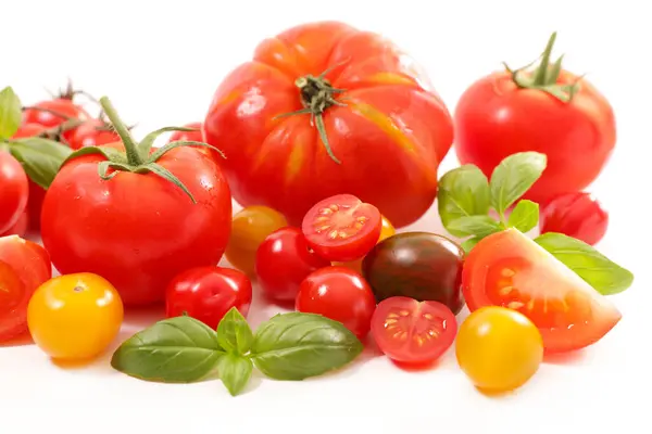 Verschiedene Tomaten Und Basilikum lizenzfreie Stockfotos