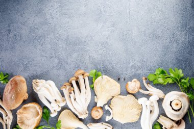 Çeşitli mantar çeşitleri, üst görünüm