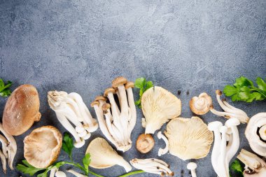 Mavi arka planda yenilebilir mantar seti