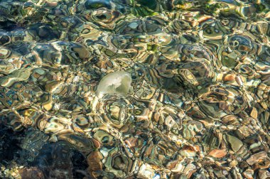 Şeffaf berrak deniz suyunun doğal dokusu ve denizanası.