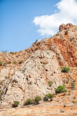 Doğal kızıl kaya kayalıkları oluşumları ve vahşi doğanın manzarası.