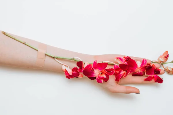 Orchid branch fixed with adhesive plaster to a female hand. Fashion art flower grows from a gentle womans hand.