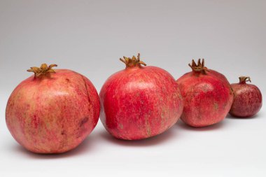 Row of red fresh pomegranate