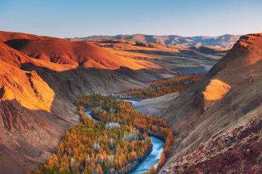 Altai dağlarında sarı sonbahar ağaçları olan mavi nehir. Sibirya, Rusya. Sonbahar manzarası