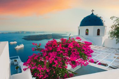 Santorini Adası, Yunanistan. Gün batımında pembe çiçekli beyaz mimari. Yaz seyahati ve tatil kavramı