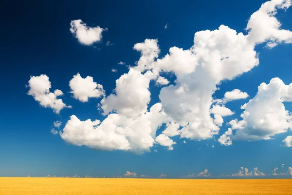 Sarı Tarlaların Üzerinde Beyaz Bulutlar Olan Mavi Gökyüzü Güzel Yaz — Stok fotoğraf