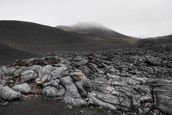 Black lava fields near Tolbachik volcano in Kamchatka, Russia. Lava flows of the eruption of Tolbachik volcano in 2013