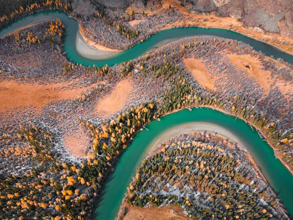山中长满了秋天的黄树 俄罗斯西伯利亚阿尔泰山区的楚亚河 空中俯瞰 — 图库照片