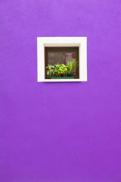 Violeta Pintado Fachada Casa Janela Com Flores Arquitetos Burano Island — Fotografia de Stock