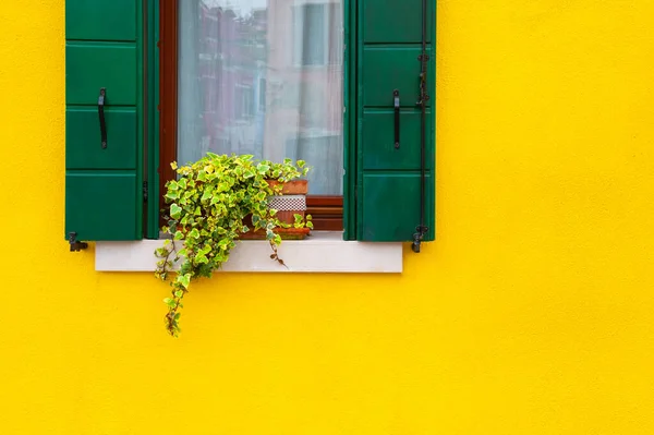 Żółta Pomalowana Elewacja Domu Okna Kwiatami Kolorowa Architektura Wyspie Burano — Zdjęcie stockowe