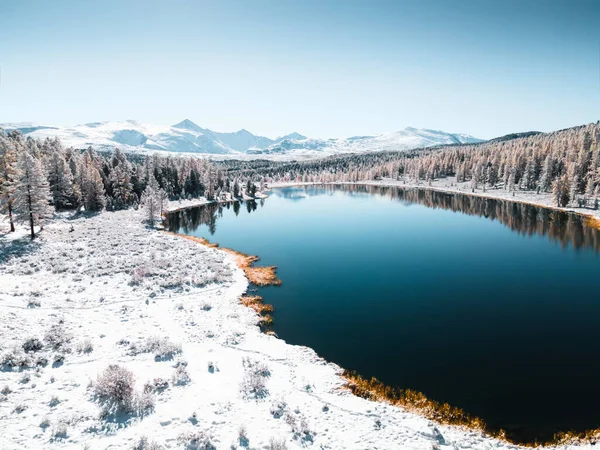 俄罗斯西伯利亚阿尔泰山区的基德卢湖 覆盖着白雪的树木和高山 空中无人驾驶飞机视图 美丽的冬季风景 — 图库照片