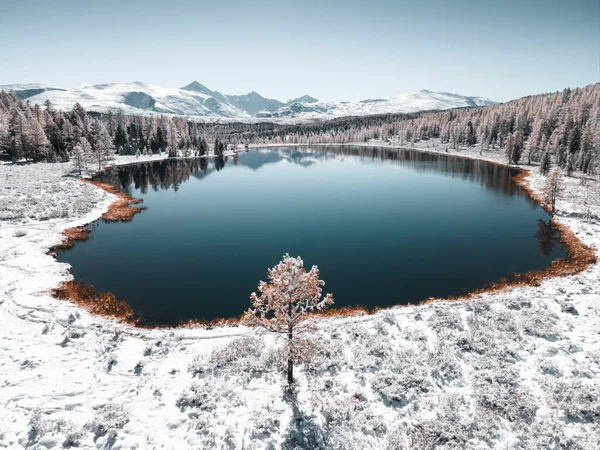 アルタイ山脈 シベリア ロシアのKideu湖 雪に覆われた木々や山 空中ドローンビュー 美しい冬の風景 — ストック写真