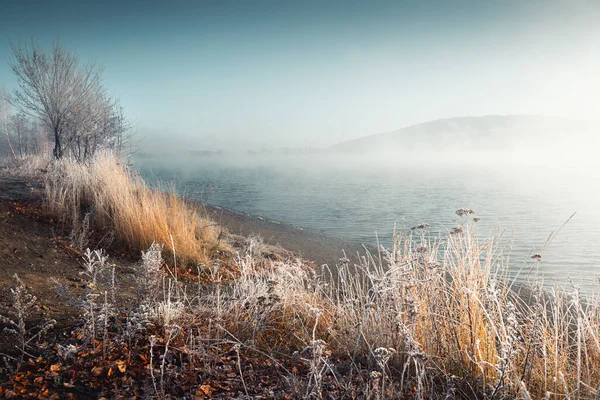 stock image Frost-covered plants on the shore of lake in foggy morning. Winter landscape