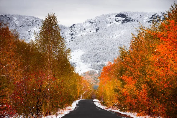 Sarı sonbahar ağaçları ve karla kaplı dağlarla dolu bir yol. Güzel sonbahar manzarası.