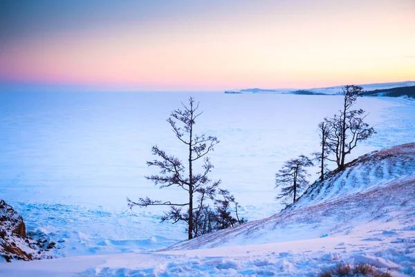 Замороженное Байкальское Озеро Снегом Зимой Деревья Мысе Бурхан Острове Ольхон — стоковое фото