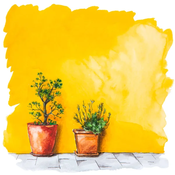 Watercolor Painting Yellow Facade House Decorative Flowers Colorful Architecture Burano — Stock Photo, Image
