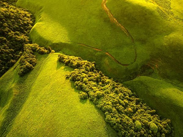 Green hills with trees and fresh green grass. Road in the mountains. Aerial top down view. Abstract summer nature background.