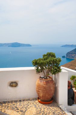 Santorini island, Greece. Decorative tree on the terrace with sea view. National greek architecture