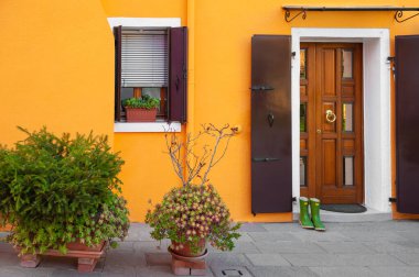 Evin yeşil çiçekli sarı cephesi. İtalya, Burano 'da renkli mimari.