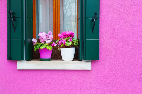 Façade Peinte Rose Maison Fenêtre Avec Des Fleurs Roses Architecture — Photo