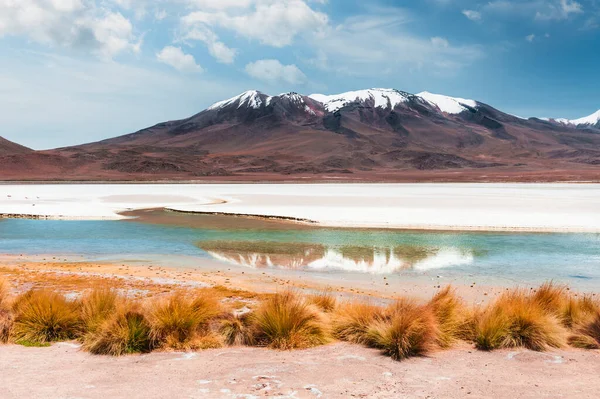 Вид Высокогорную Лагуну Вулканы Плато Альтиплано Боливия Пейзажи Южной Америки — стоковое фото