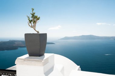 Santorini Adası, Yunanistan 'da beyaz mimari. Terasta deniz manzaralı çiçekler. Seyahat ve yaz tatili kavramı
