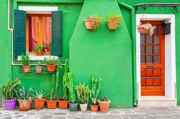 Zielona Elewacja Domu Zielonymi Kwiatami Kolorowa Architektura Burano Wenecja Włochy — Zdjęcie stockowe