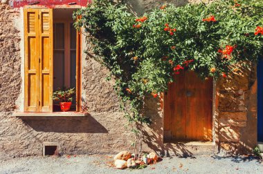 Ahşap kapı ve çiçekli pencere. Valensole, Provence, Fransa 'da rahat bir sokakta eski bir mimari. Ünlü tavel hedefi