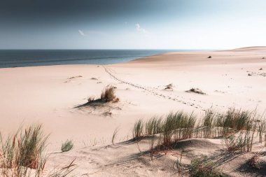 Deniz koyundaki kumullar. Kumda ayak izleri. Yaz manzarası. Soyut doğa arkaplanı