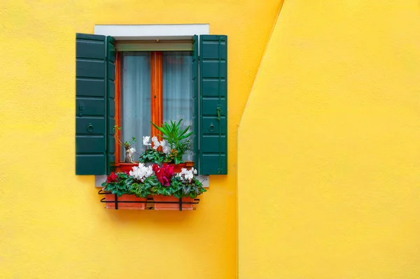 Façade Peinte Jaune Maison Fenêtre Avec Des Fleurs Architecture Colorée — Photo