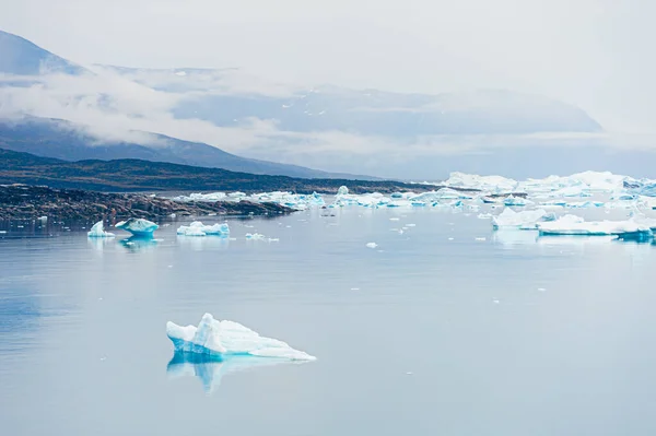 Icebergs Costa Oceano Atlântico Manhã Nebulosa Vila Saqqaq Oeste Groenlândia — Fotografia de Stock