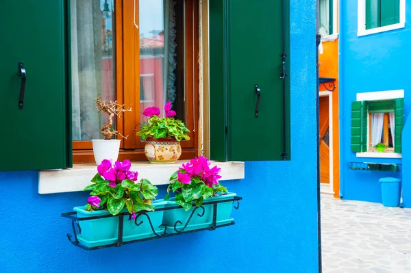 Синий Покрашенный Фасад Дома Окна Цветами Красочная Архитектура Острова Бурано — стоковое фото