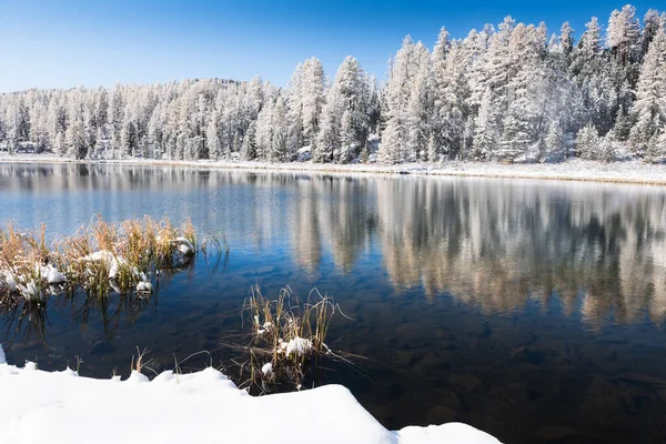 Lago Kidelu Nas Montanhas Altai Sibéria Rússia Primeira Neve Floresta — Fotografia de Stock