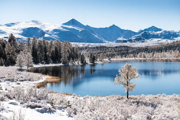 stock image Kidelu lake in Altai mountains, Siberia, Russia. First snow in the autumn forest in sunny day. Snow-covered trees and mountains.