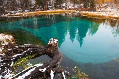 Sonbahar ormanlarında kar yağdıktan sonra mavi gayzer gölü. Altai dağları, Sibirya, Rusya. Sonbahar manzarası