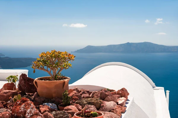 Biała Architektura Wyspie Santorini Grecja Kwiaty Tarasie Widokiem Morze — Zdjęcie stockowe