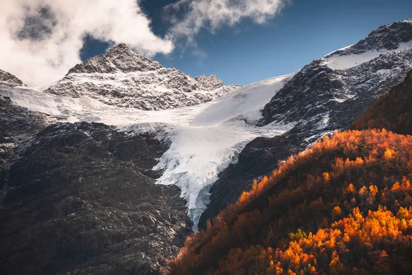 Pokryte Śniegiem Szczyty Górskie Lodowcem Żółtym Lasem Jesiennym Góra Cheget — Zdjęcie stockowe