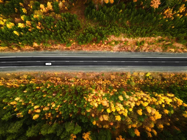 stock image Road with yellow and green trees in the autumn forest. Aerial top down view. Car driving on the asphalt road. 