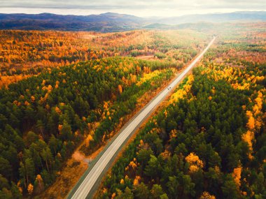 Sonbahar dağlarında yol. Gün batımında tepelerde sarı ve yeşil ağaçlar. Hava görüntüsü. Güzel sonbahar manzarası.