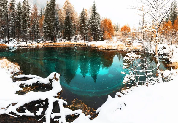 Blue Geyser Lake Autumn Forest Snowfall Altaï Sibérie Russie Beau Photos De Stock Libres De Droits