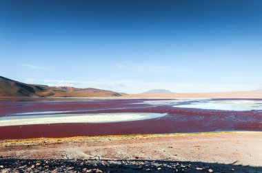 Altiplano, Bolivya 'da yüksek irtifa gölü Laguna Colorada. Gölde pembe flamingolar. Yaz manzarası