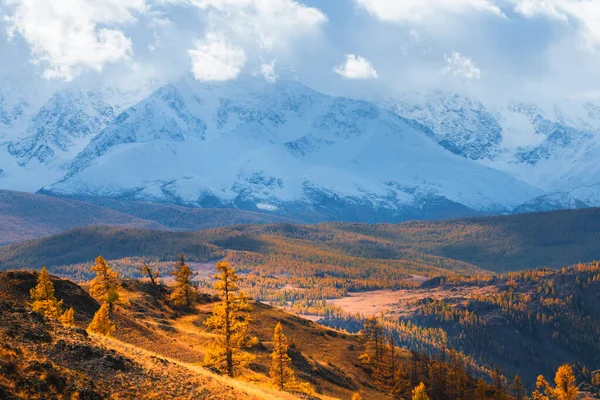 Hóval Borított Hegyek Felhőkkel Sárga Őszi Fákkal Naplementekor Kurai Sztyeppe — Stock Fotó