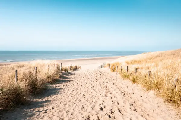 Sanddyner Stranden Noordwijk Nederländerna Vacker Havsutsikt Solig Dag Nordsjöns Kust Stockfoto